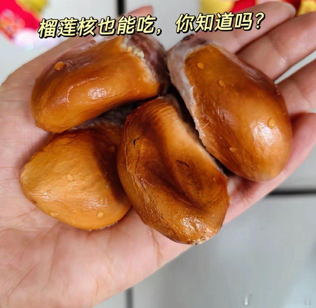 榴莲核煮饭既可以直接煮着吃，也可以榴莲核焖饭｜粉糯像板栗，做法超简单一、预处理（