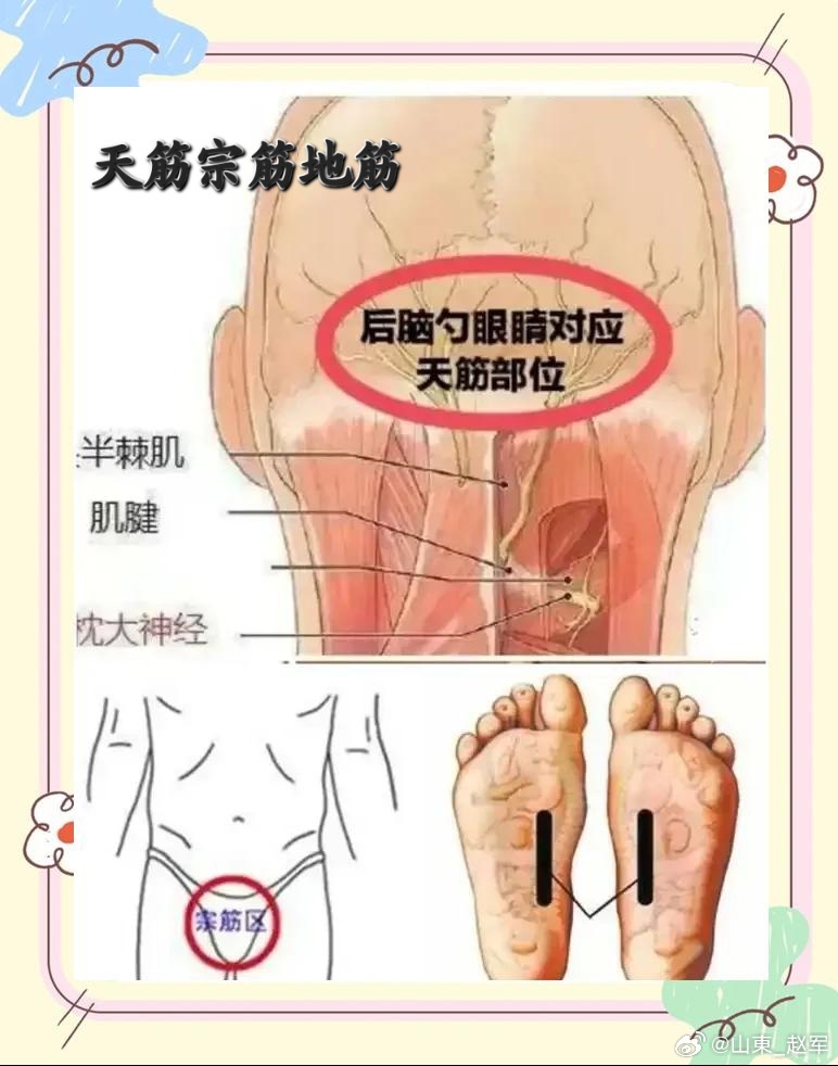人体脚底有一条“长寿筋”，把它揉开了的人，五脏六腑都比别人更健康 在人体足底上有