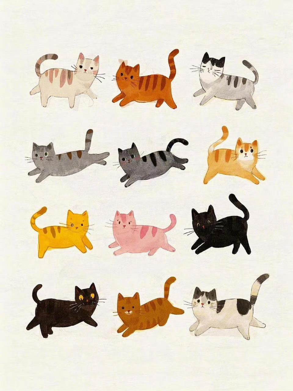 猫猫·图鉴 