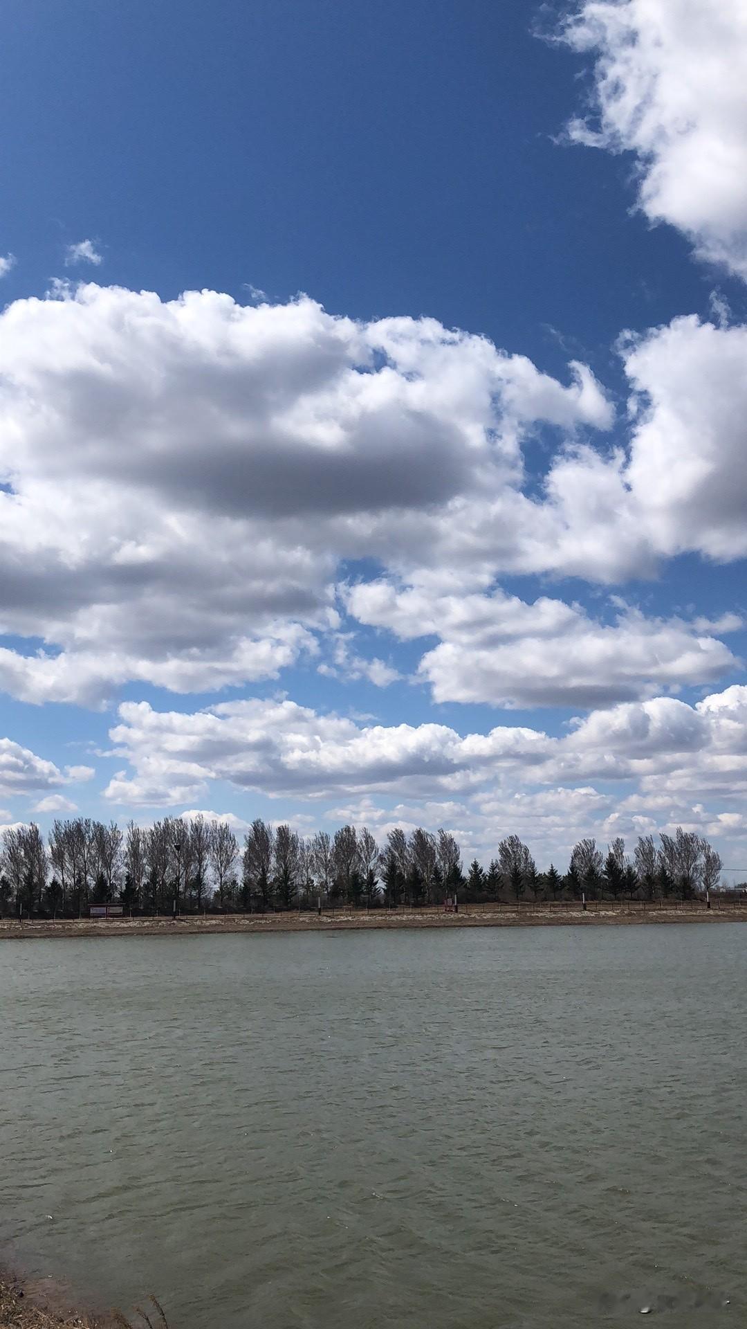 机器人半马赢了人类！不是科幻，是普通人饭碗要被端了

最近北京那场机器人半马，真