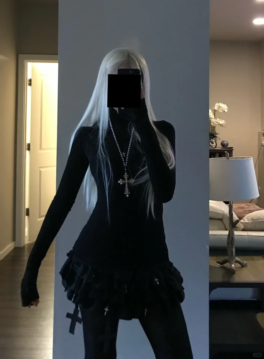 🕷️