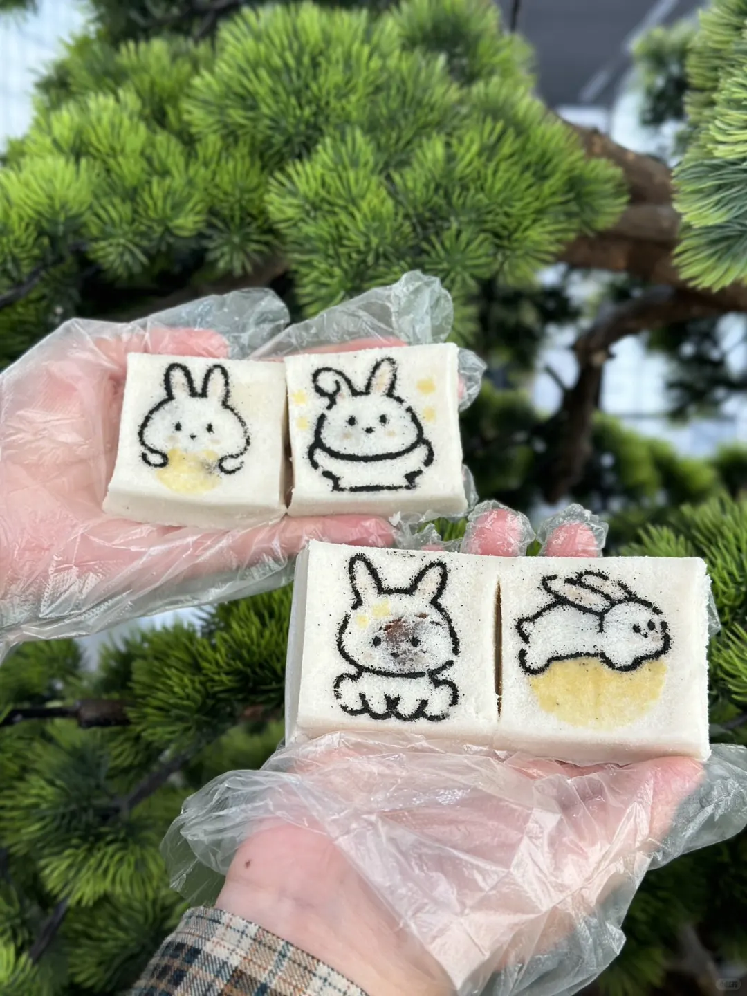 这么可爱的方糕，必须带回家~~