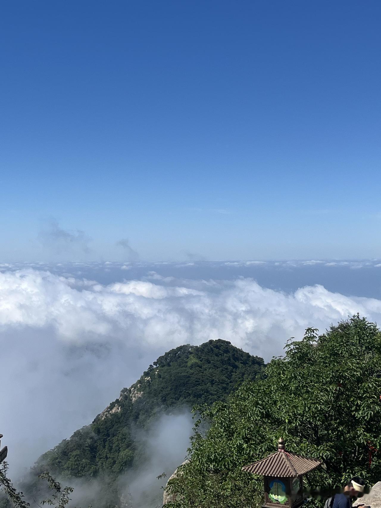 莫言说：“一个人所有的不幸，都是单纯造成的，坏人从不内耗，折磨的全是老实人，没有