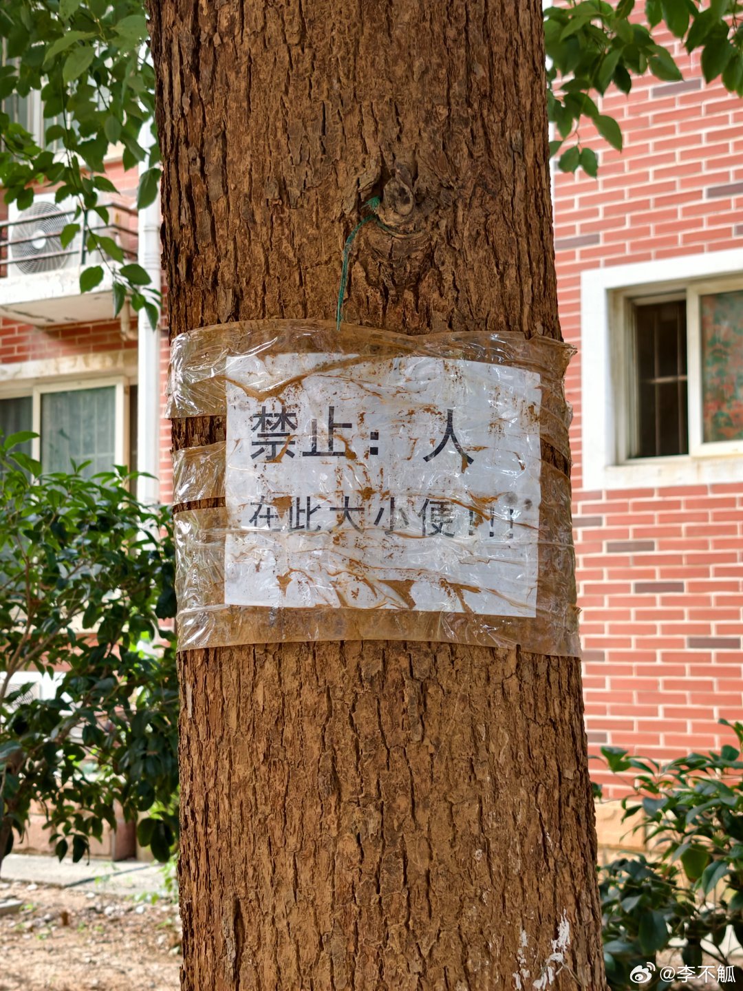 城市文字景观一例 