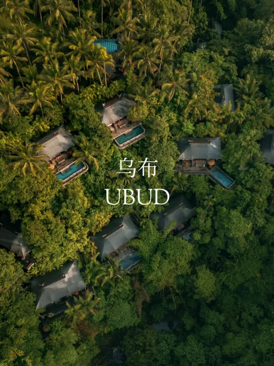 金秋嘉旅 | 乌布雨林, 野奢秘境