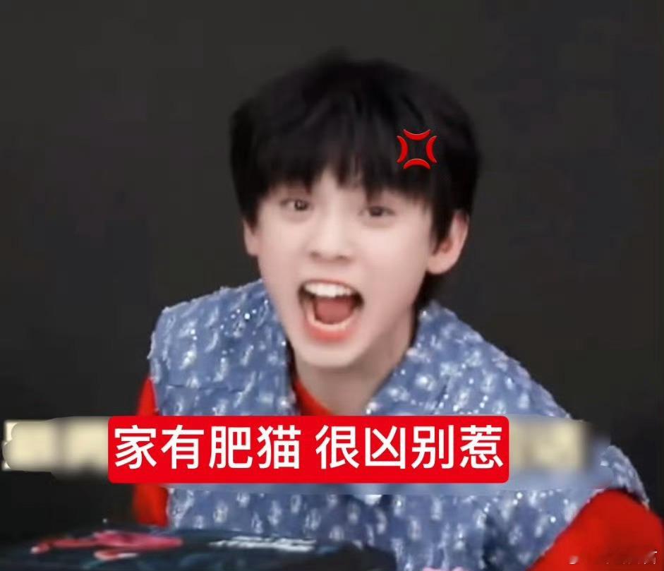 左航换厚米头像 左航换了一个新的厚米头像！图中有两只小猫很萌[拜托][拜托] ​