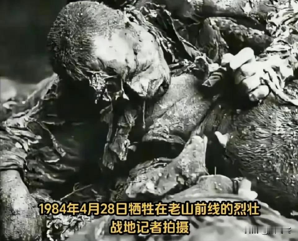 收复老山战役有多激烈！
118团和119团牺牲了几百名兄弟，
炮弹轰的很多战士员