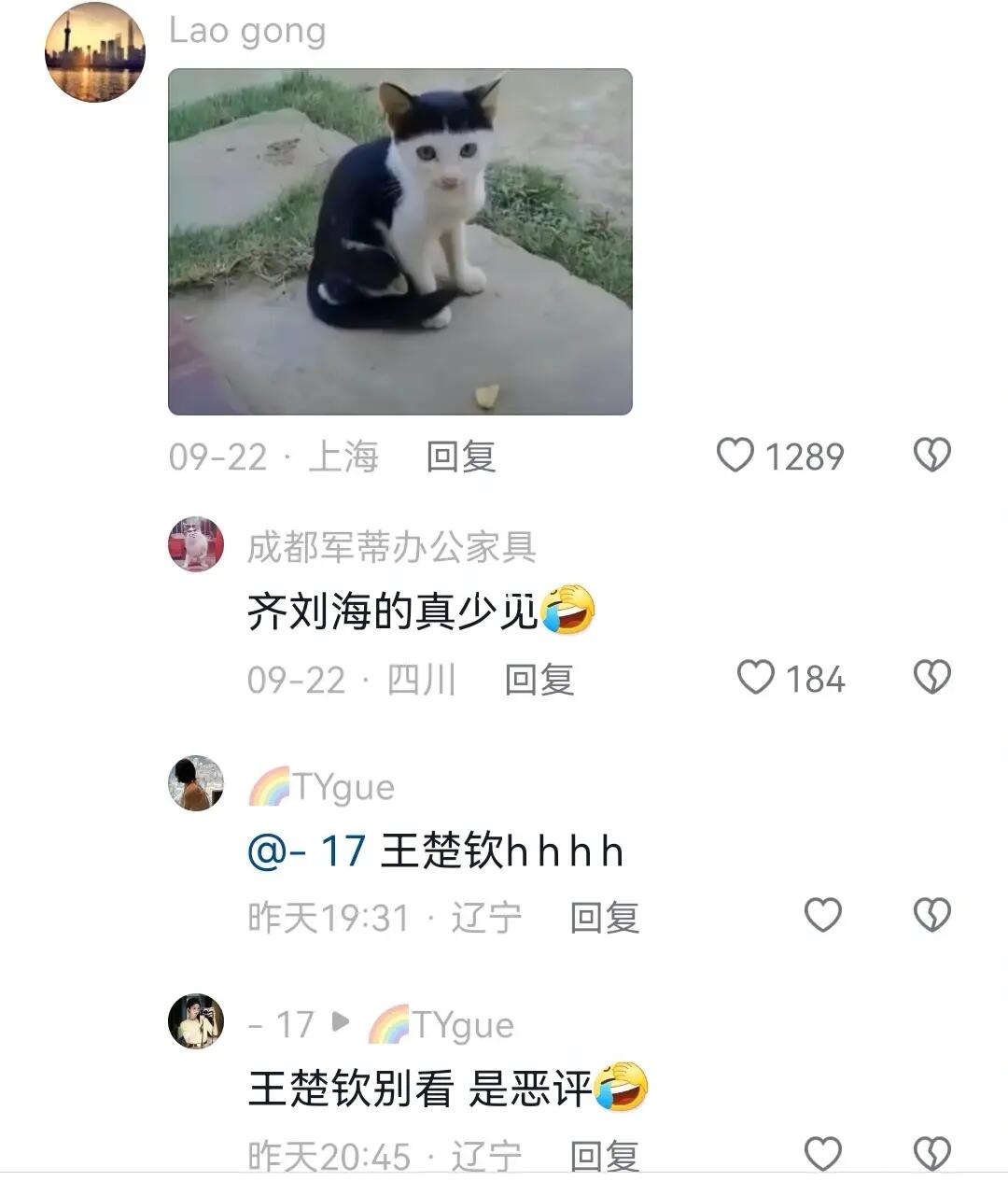 笑死，大头的蘑菇头实火