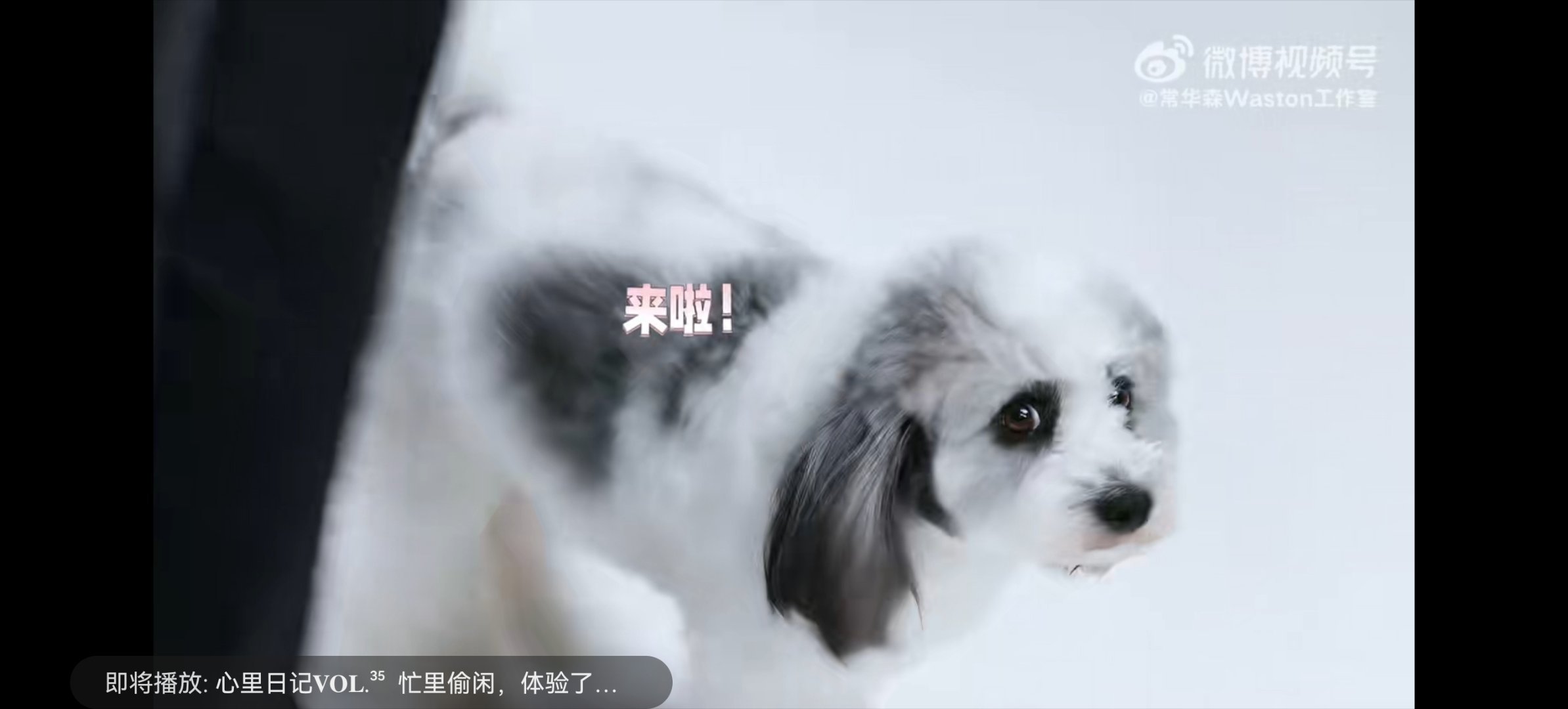 心软软 九月返场了 