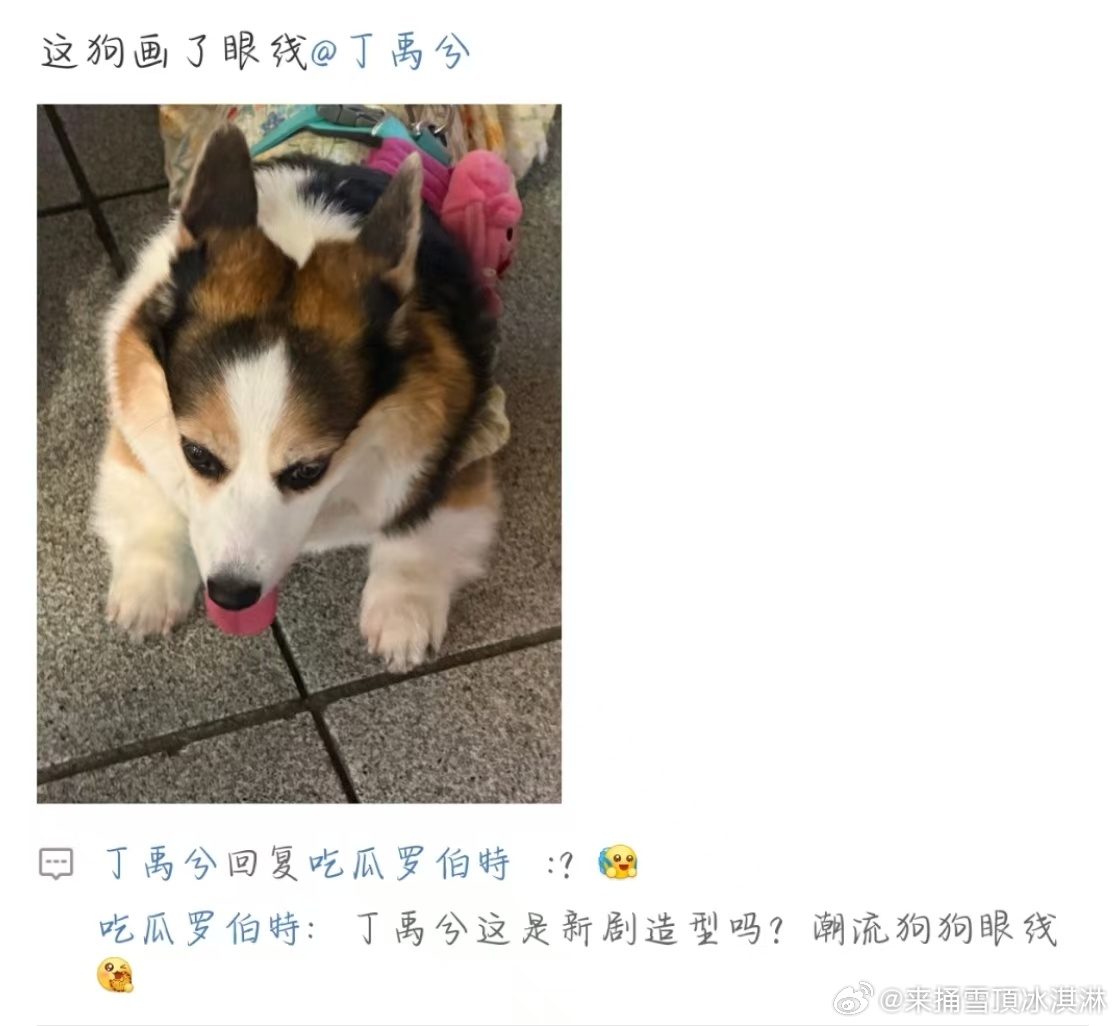 丁禹兮回应罗伯特功能多 ​​​