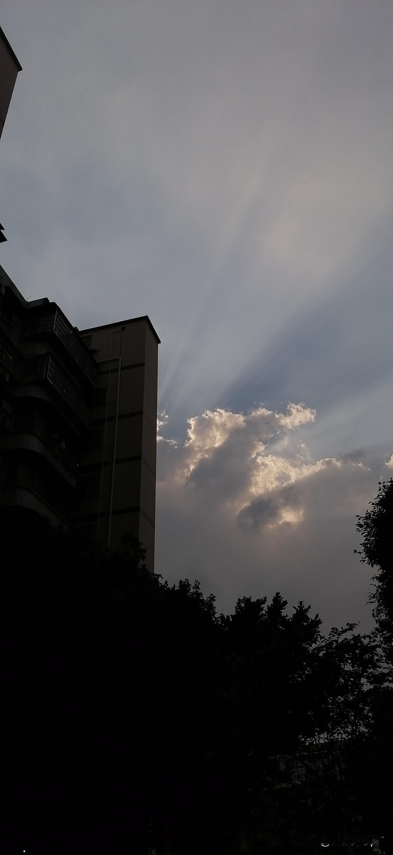 又是搬砖的一天，挥汗如雨！现在从事电商行业，服务的人群比较小众。不过，中国人口基