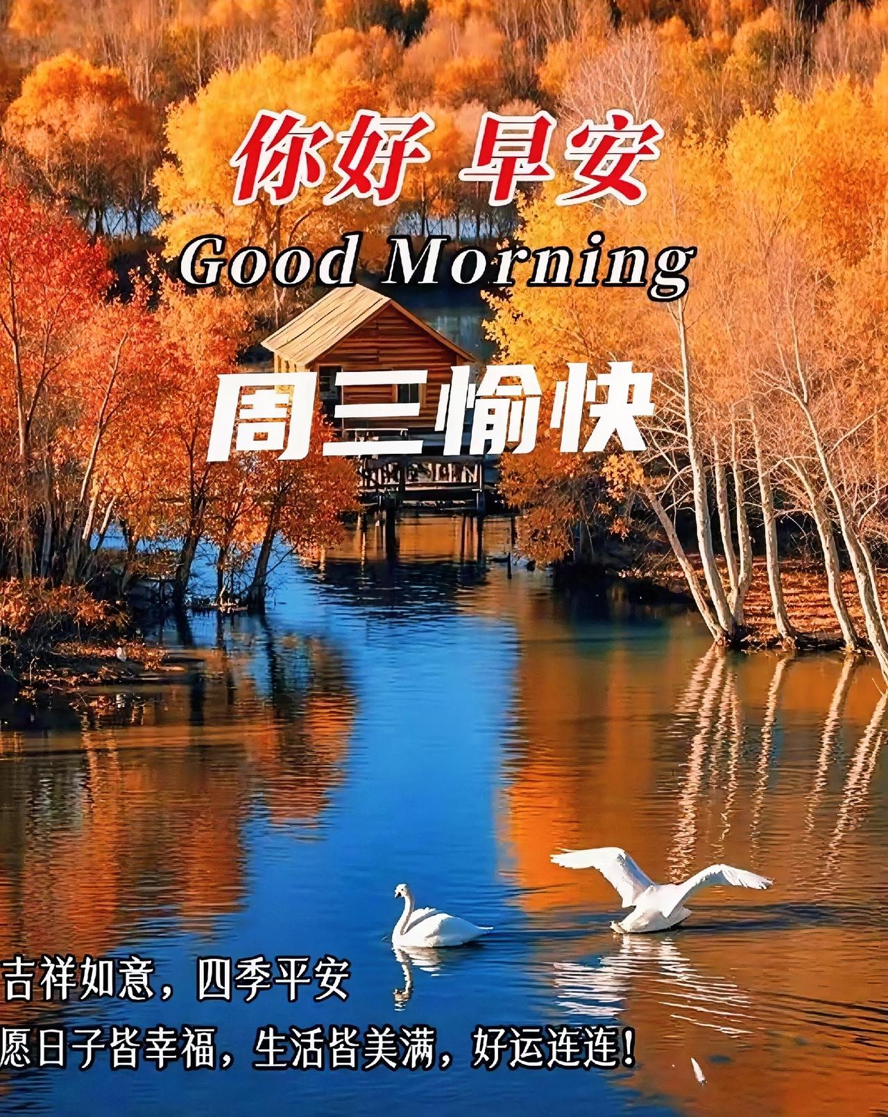 早安周三！秋日暖阳洒满湖心，天鹅起舞，愿这抹金黄治愈你，日子美满好运连连。
秋天