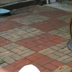 阳光信用 每日一善 日行一善 善良犹如一杯清水，透明而纯净，宛如一朵荷花，淡雅而