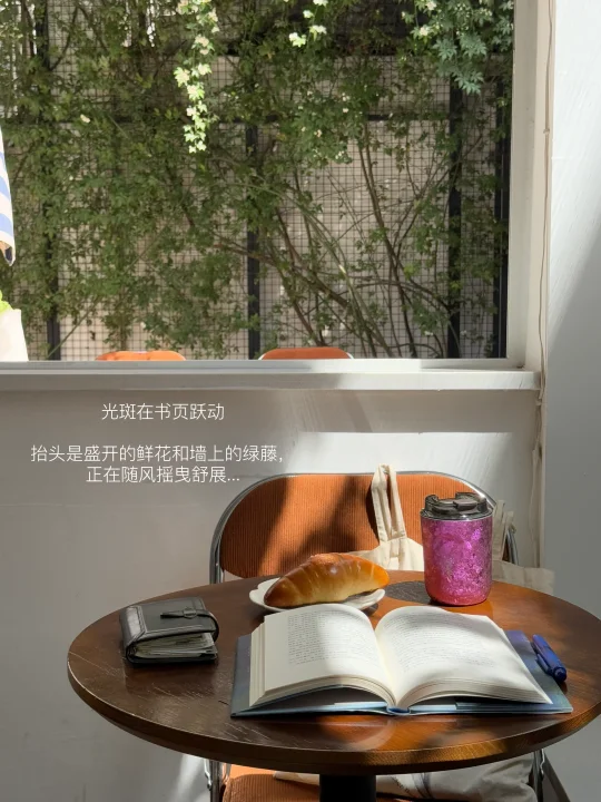 我的人生总被微小瞬间治愈。