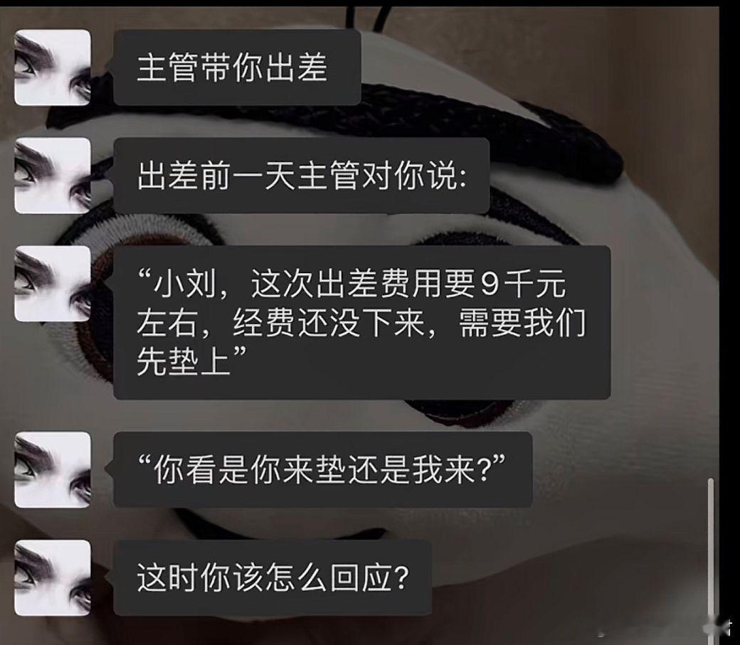如果是你，你会怎么说？ ​​​