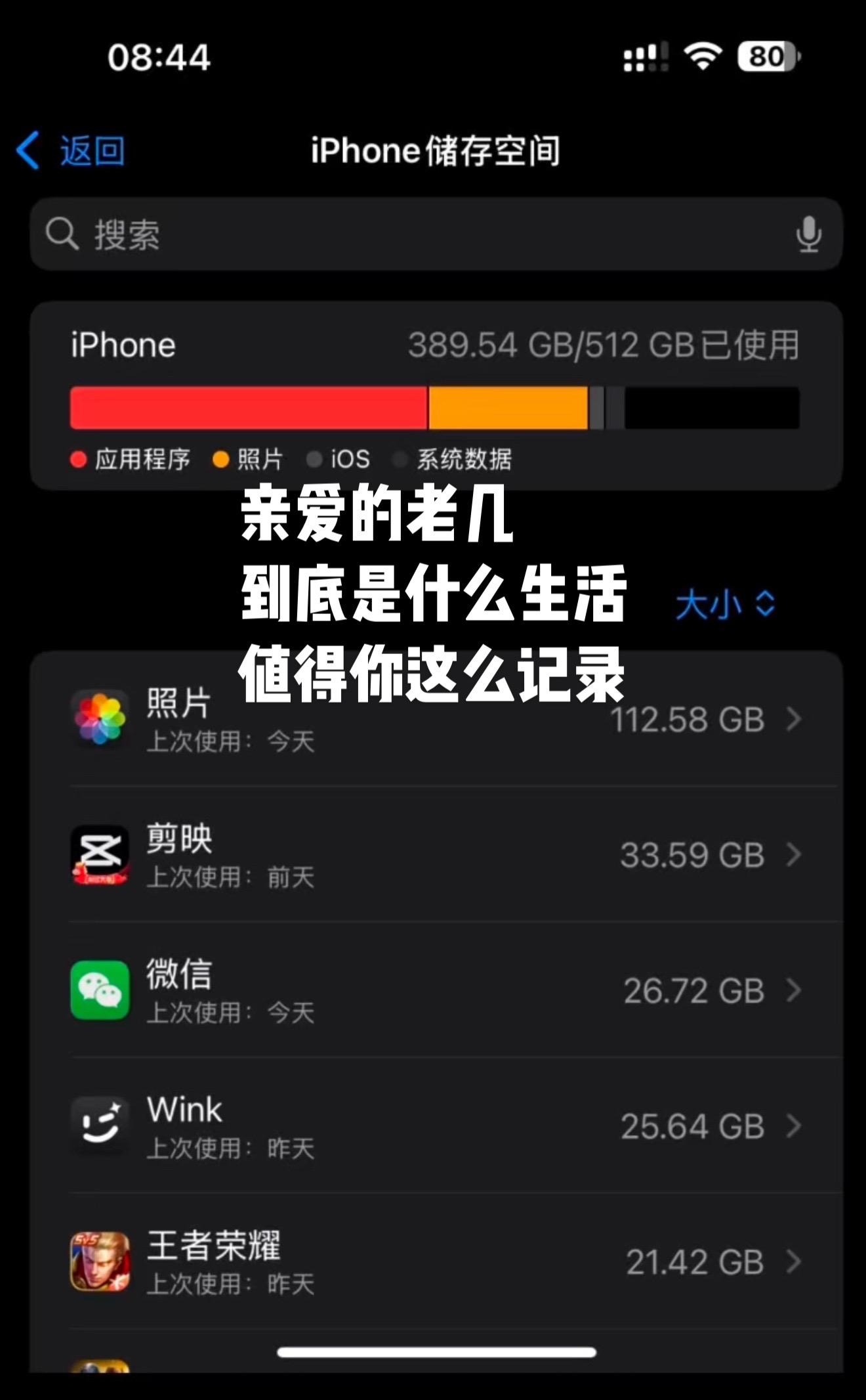 我很喜欢记录生活 但我好像突然意识到 并没有人记录我