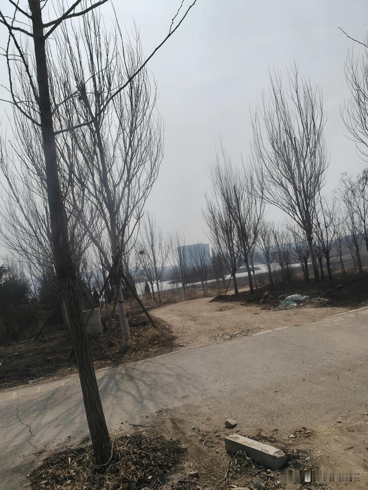 好喜欢在这种氛围里天天和头条里的友友们见面，也许这就是春节的意义吧？主打就是一个