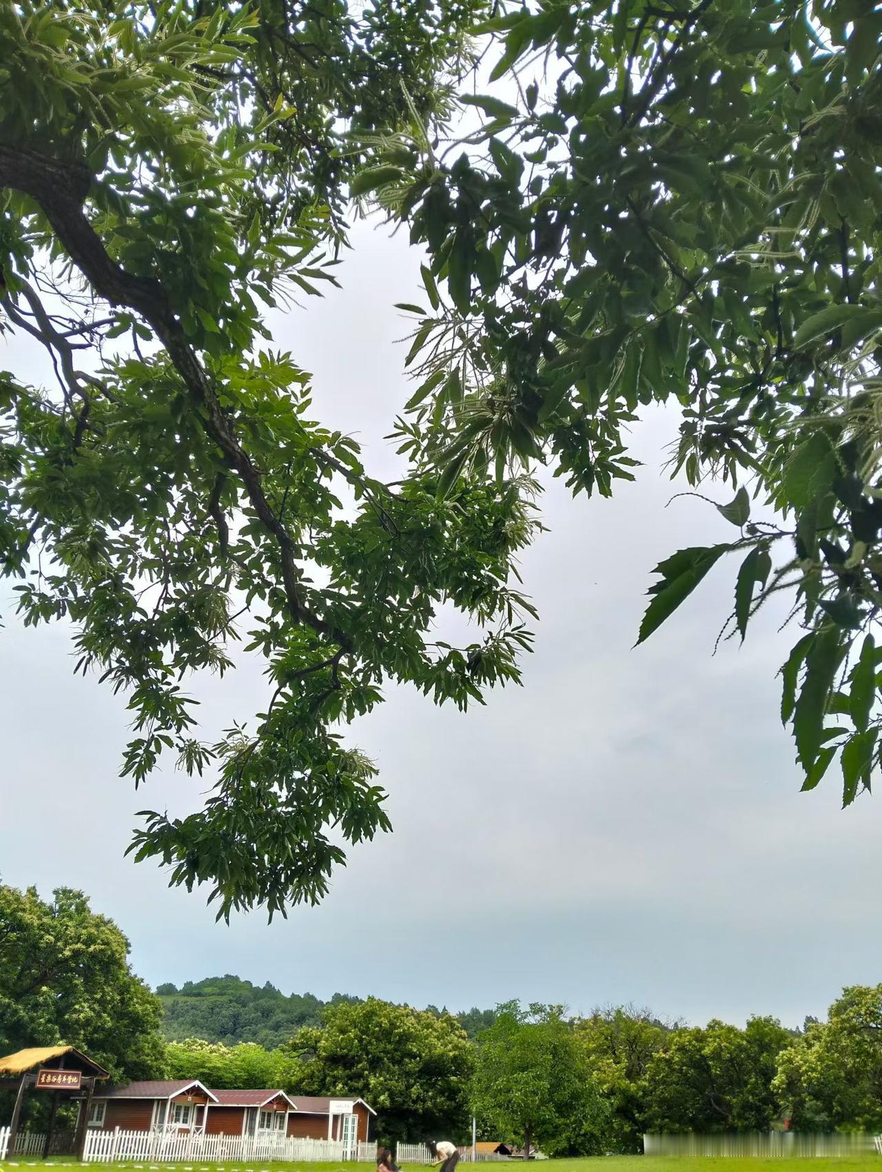家里有一个背后地里“煽风点火”的先生，我真的不知道一天怎么办了，但是绝对佩服他这