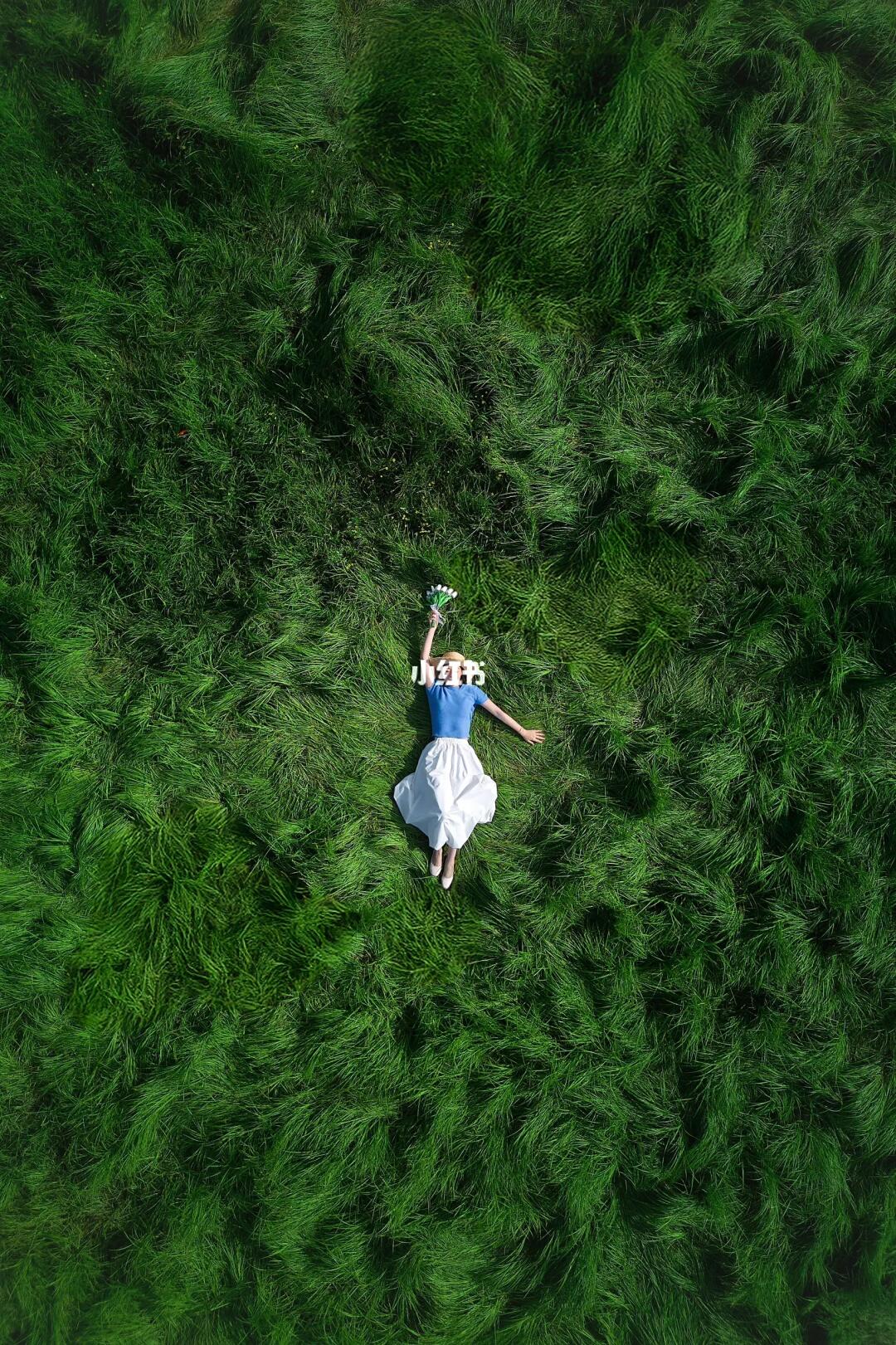 闯入宫崎骏的夏天❗️南京龙猫草海🍃拍照攻略