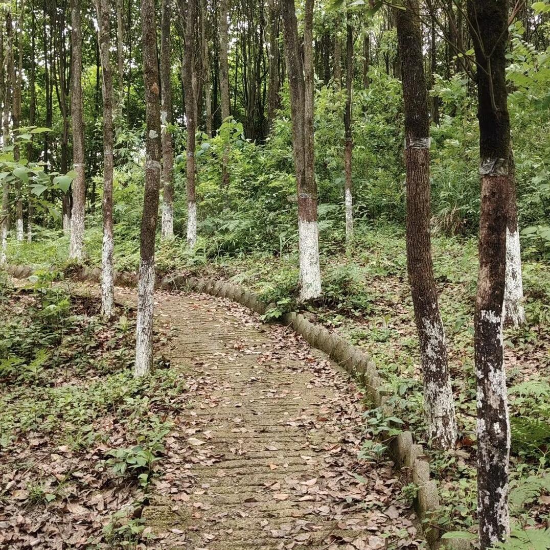 每一天，不需要过得轰轰烈烈，平平淡淡也是一种幸福，做自己热爱的事情，过自己喜欢的