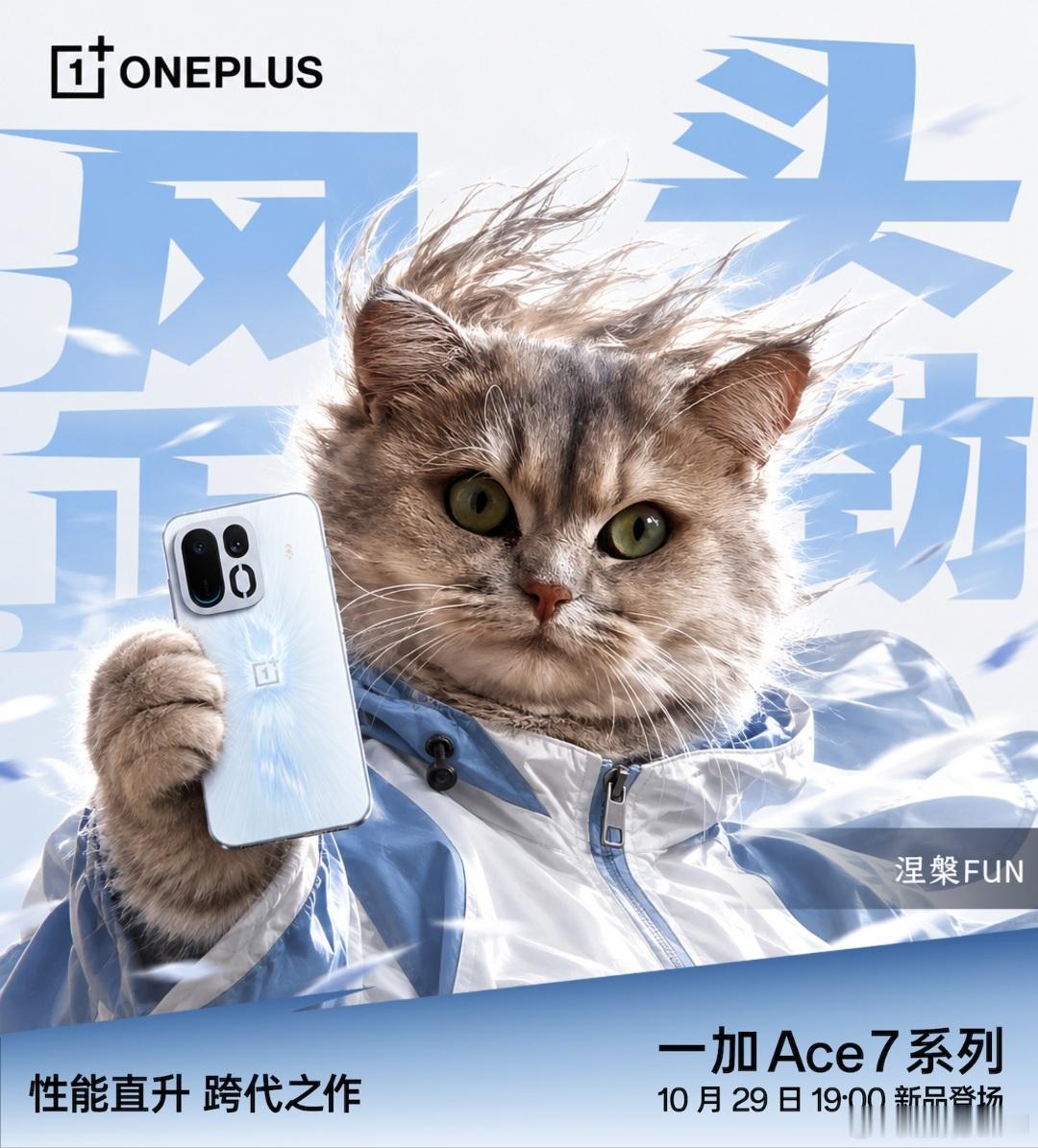 一加Ace 7的风好大，把我家主子毛都吹飞了！[哈哈] ​​​