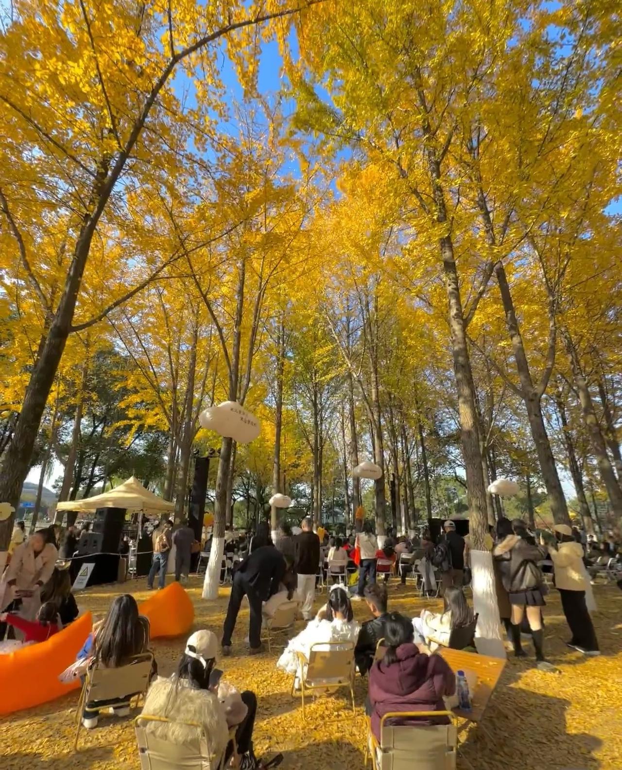 冬日的草坪铺开一席枯黄的厚毯。

阳光是淡金的蜜，浇在孩子发梢，融进老人茶杯袅袅