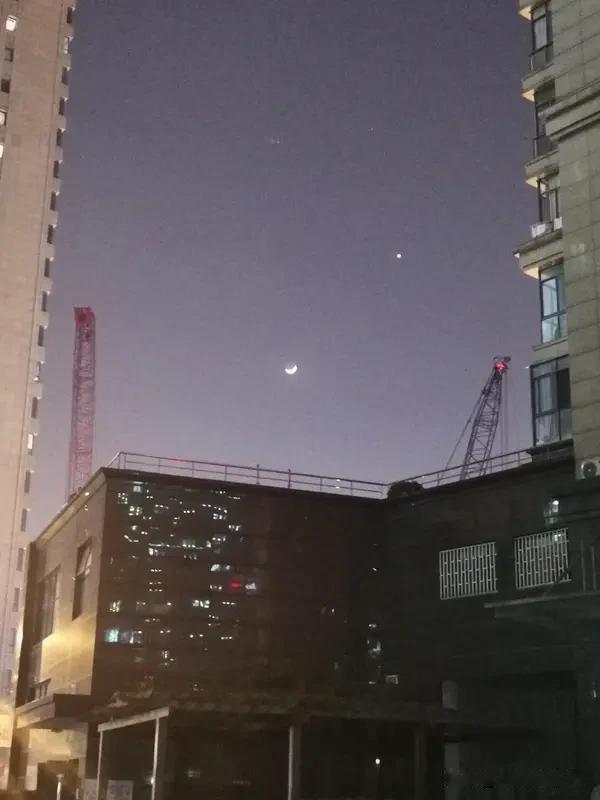 2026年1月24日天秤座运势大揭秘！
“星辰指引方向，运势随风而动”，24日海