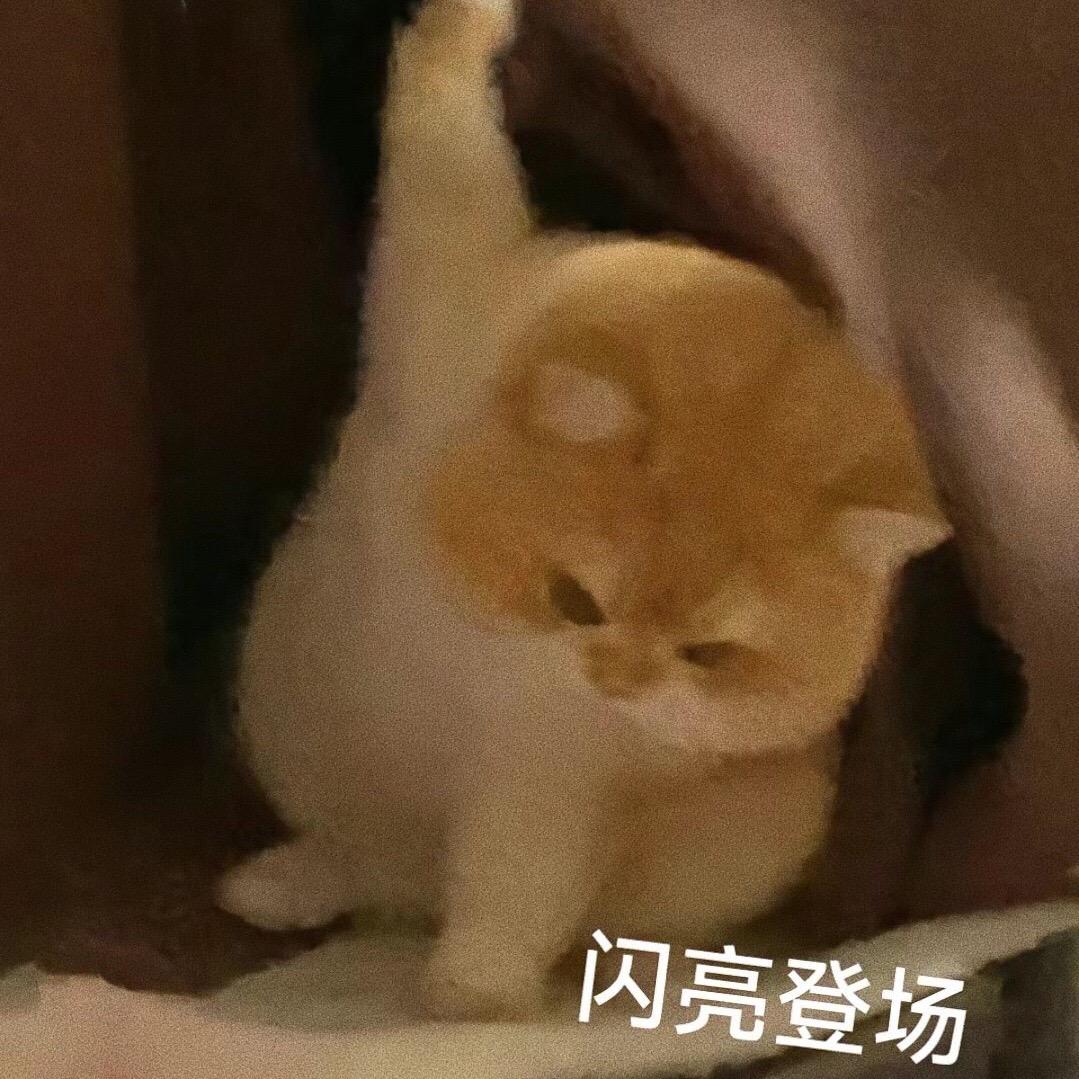 分享一些可可爱爱的表情包。表情包