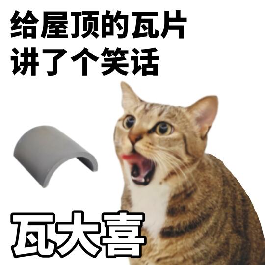 谐音梗统治世界