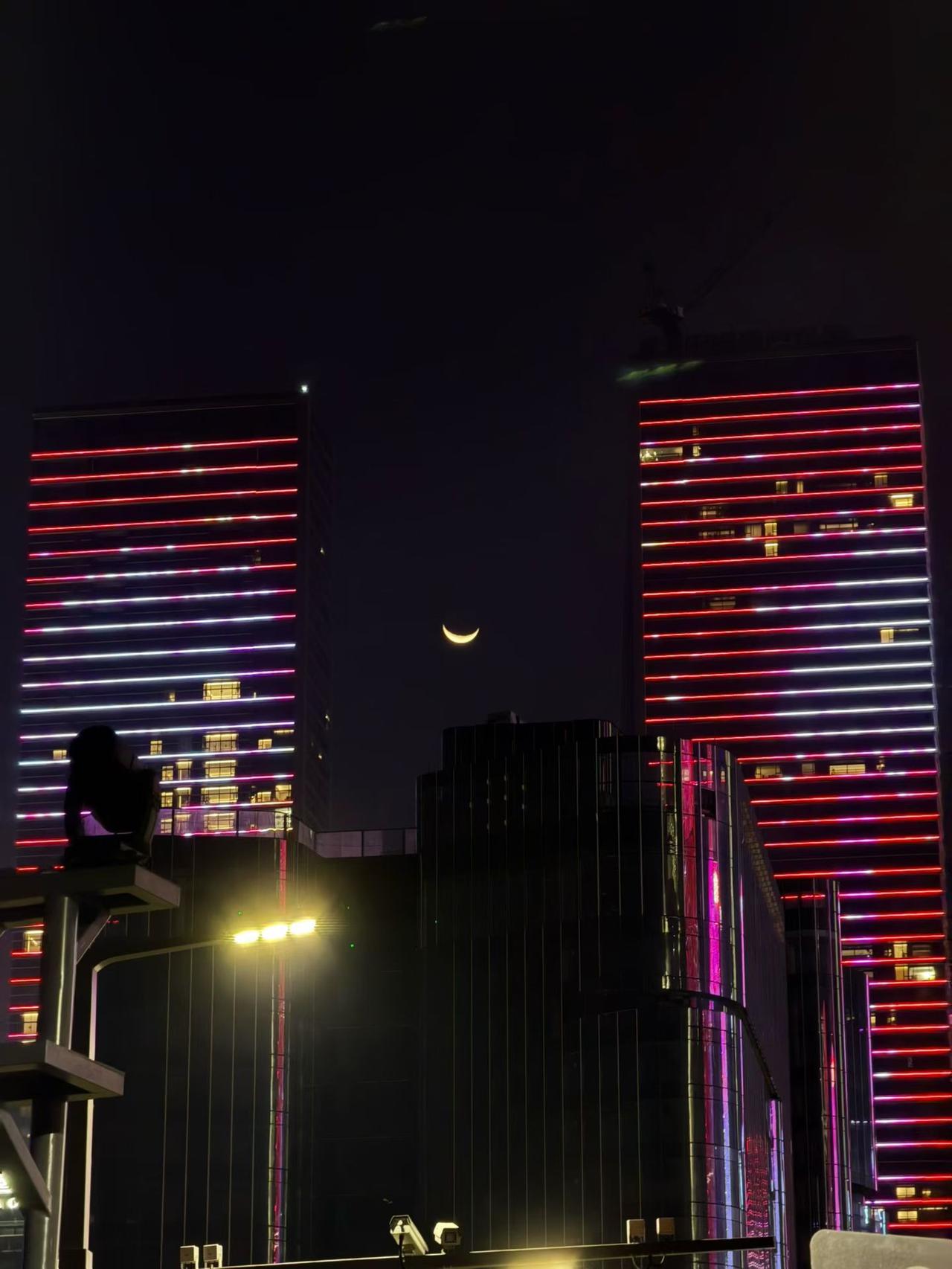 随手拍张照正月初五去深圳南山区大女儿家作客，大女儿晚上带我们去观看深圳湾人才公园