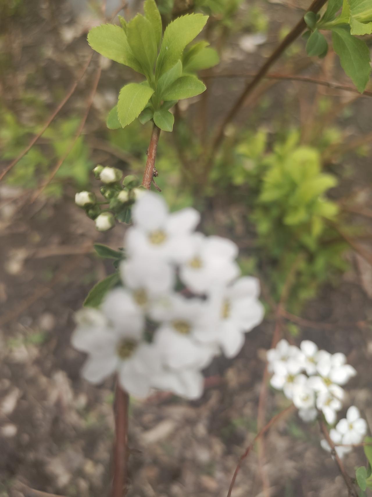柳如是一生押注3个男人，终究满盘皆输
 
谁说女子深情托付，就能换来一世安稳？秦