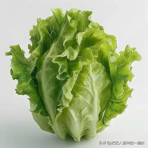 因为天热，我带孩子去遛弯，选择在傍晚降温后，我发现路边摊的生菜出奇地便宜，又鲜又