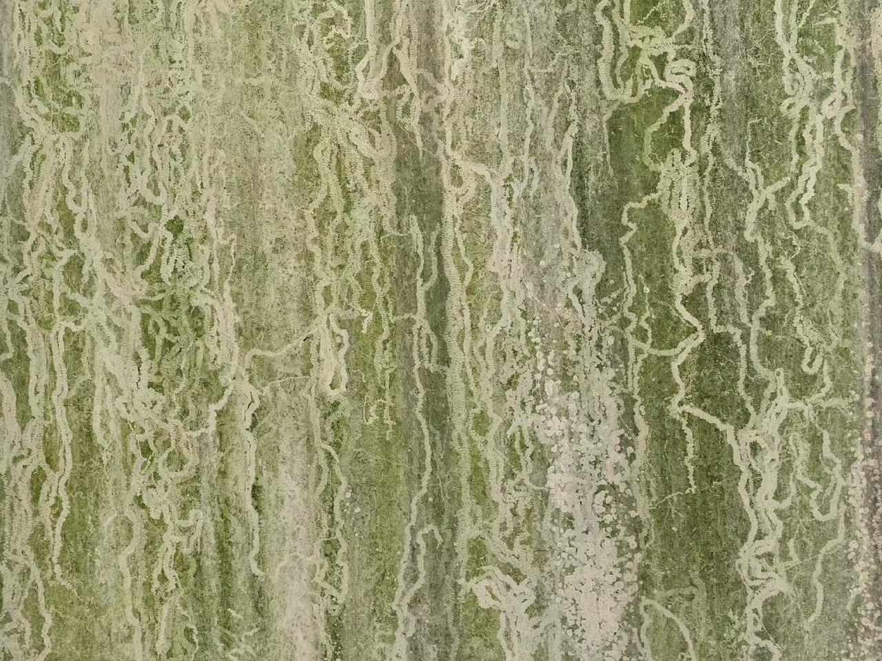 春来地气升，阴化气，见日月朦胧。秋天气肃杀，地气收藏，日月明净，此乃阴阳变化，阴