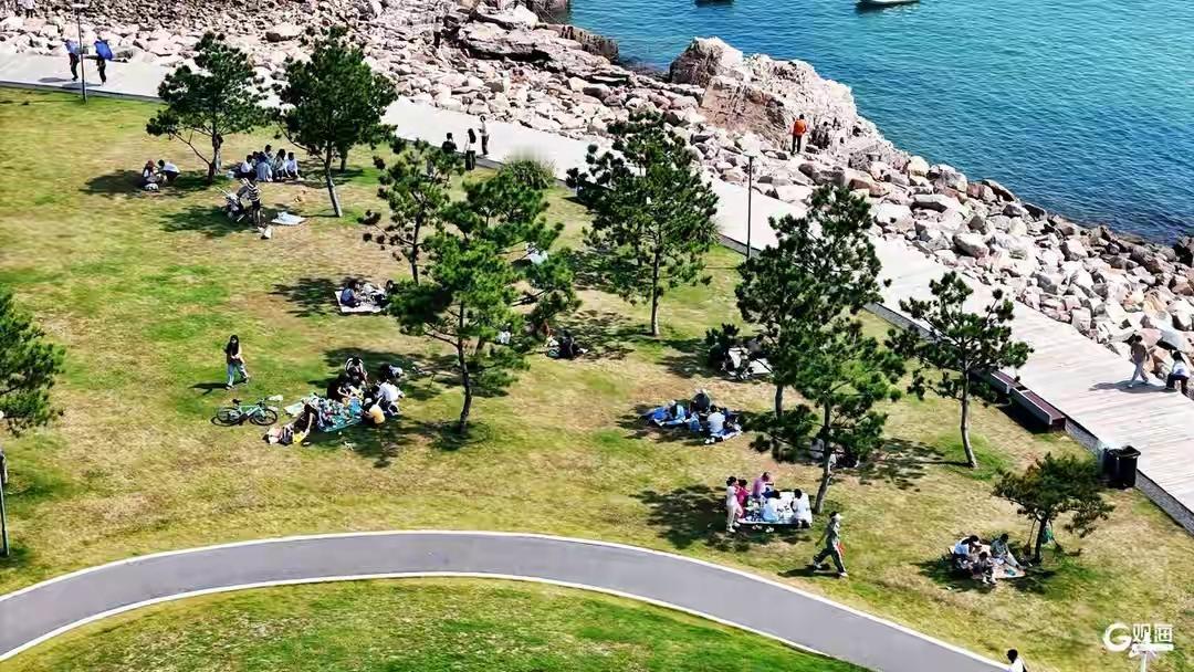 青岛海之恋公园粉黛花海爆红网络！秋日限定浪漫如仙境，游客惊呼：这才是向往的生活，