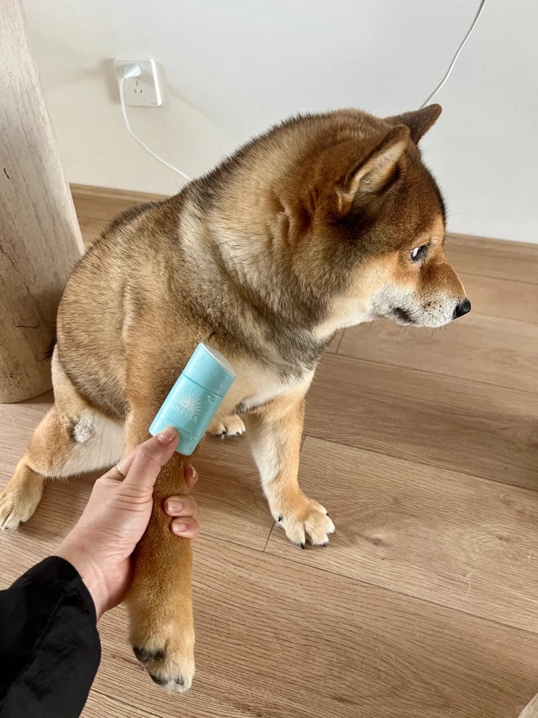 扛了，但没完全扛住
