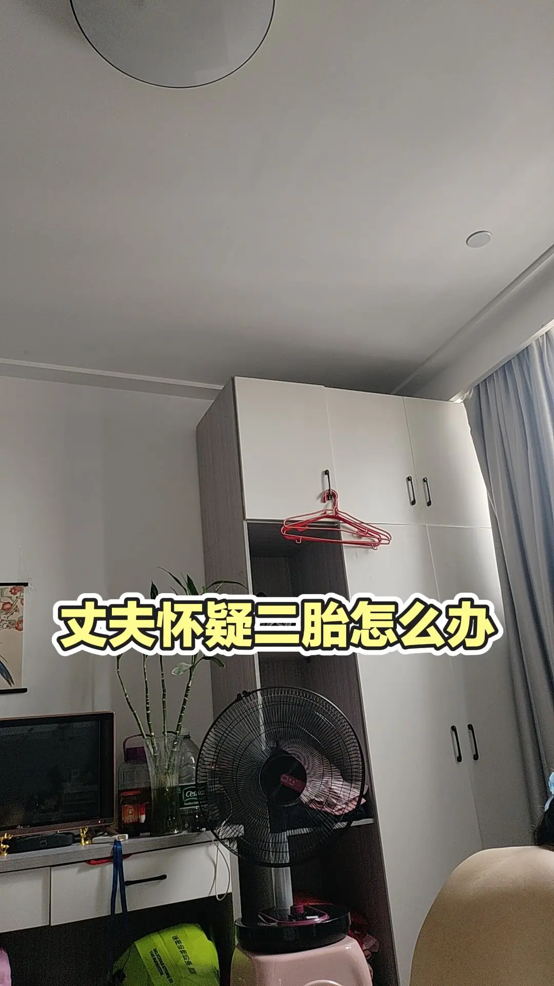 每日分享