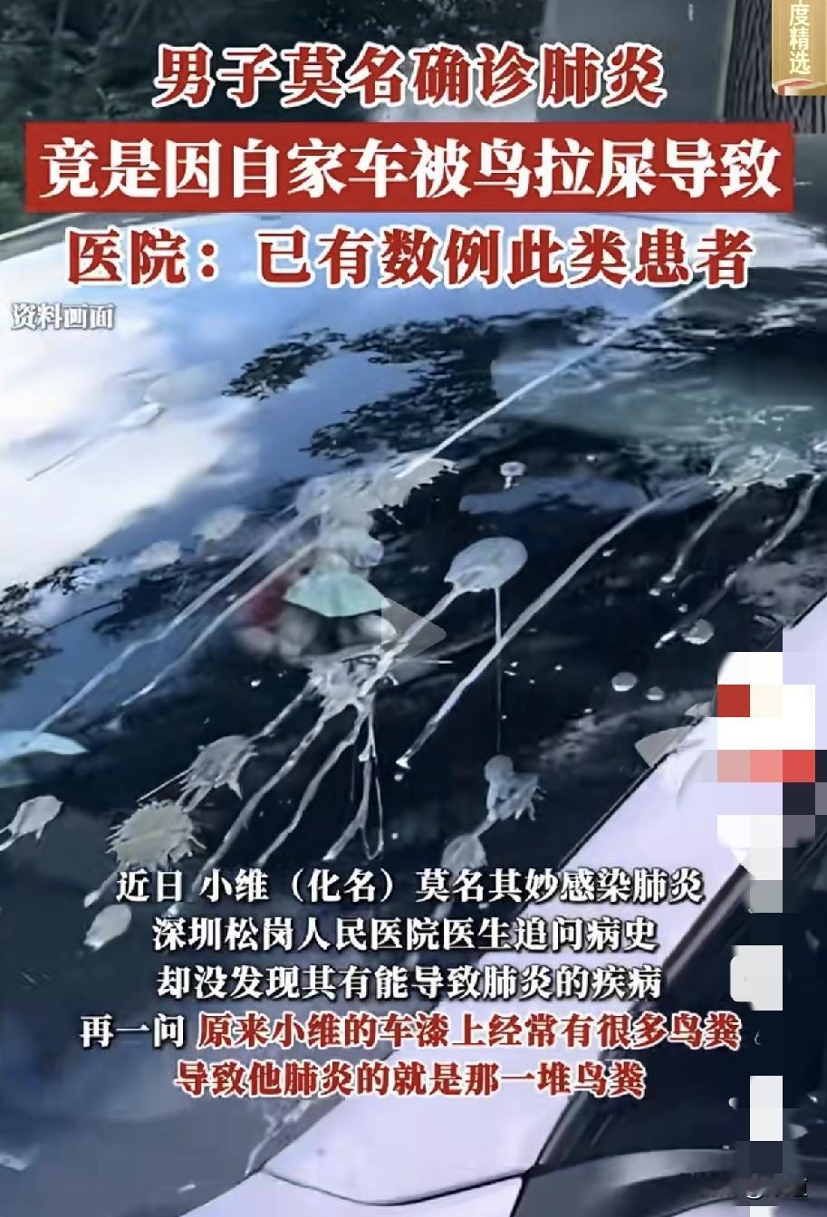 近日，小维莫名其妙感染肺炎，医生询间病因后，才知道小维的车总被鸟拉屎，小维就是在