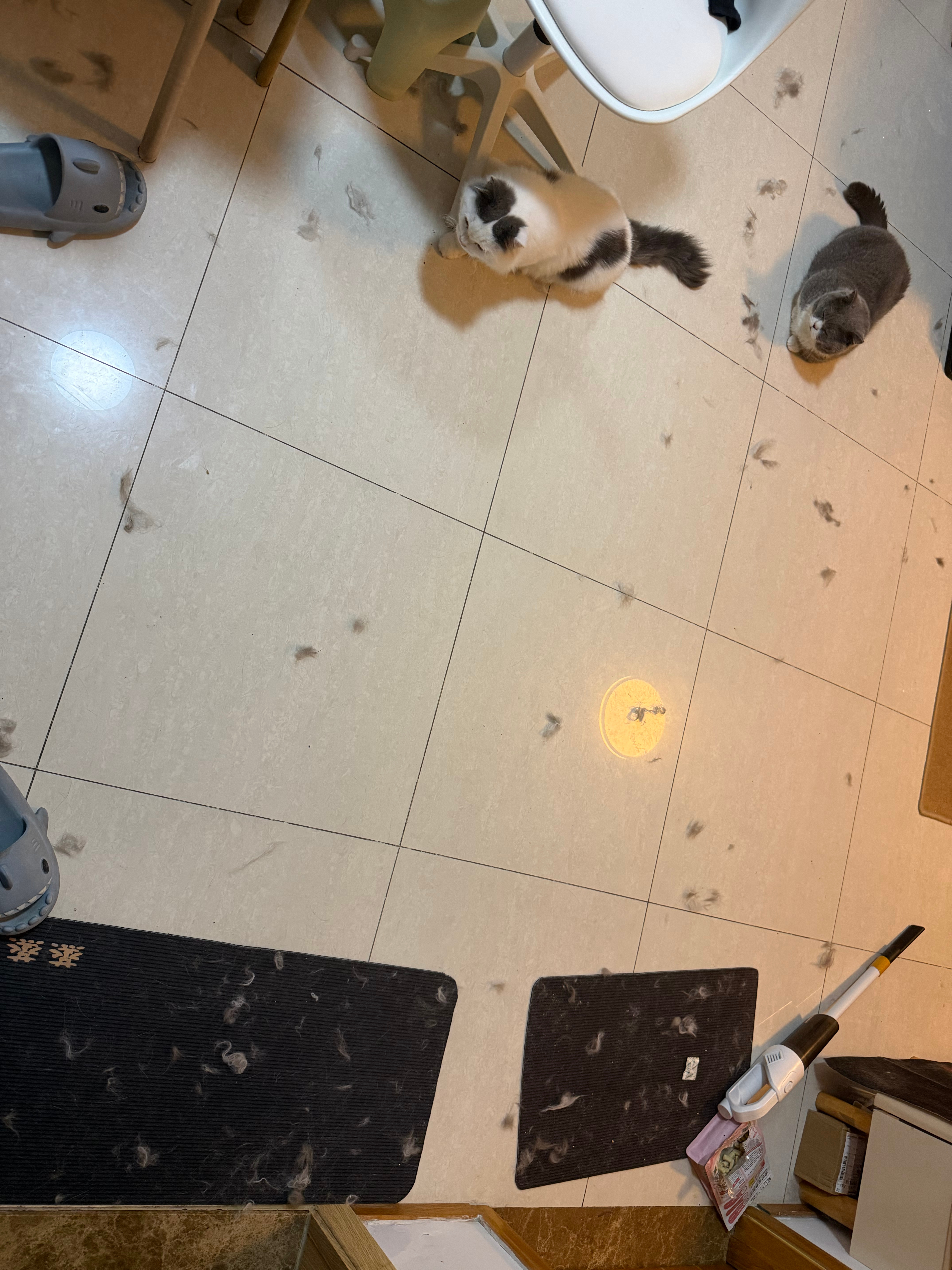 ？？？？我的妈呀 
