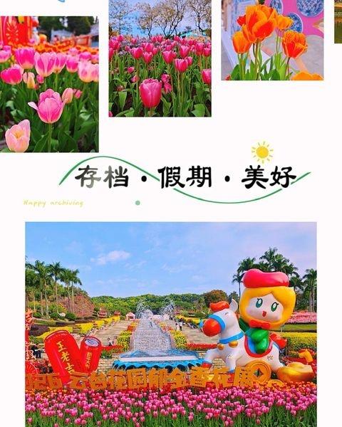广州云台花园
📍广州 云台花园
新春漫步云台花园，郁金香烂漫成海，虞美人、紫罗