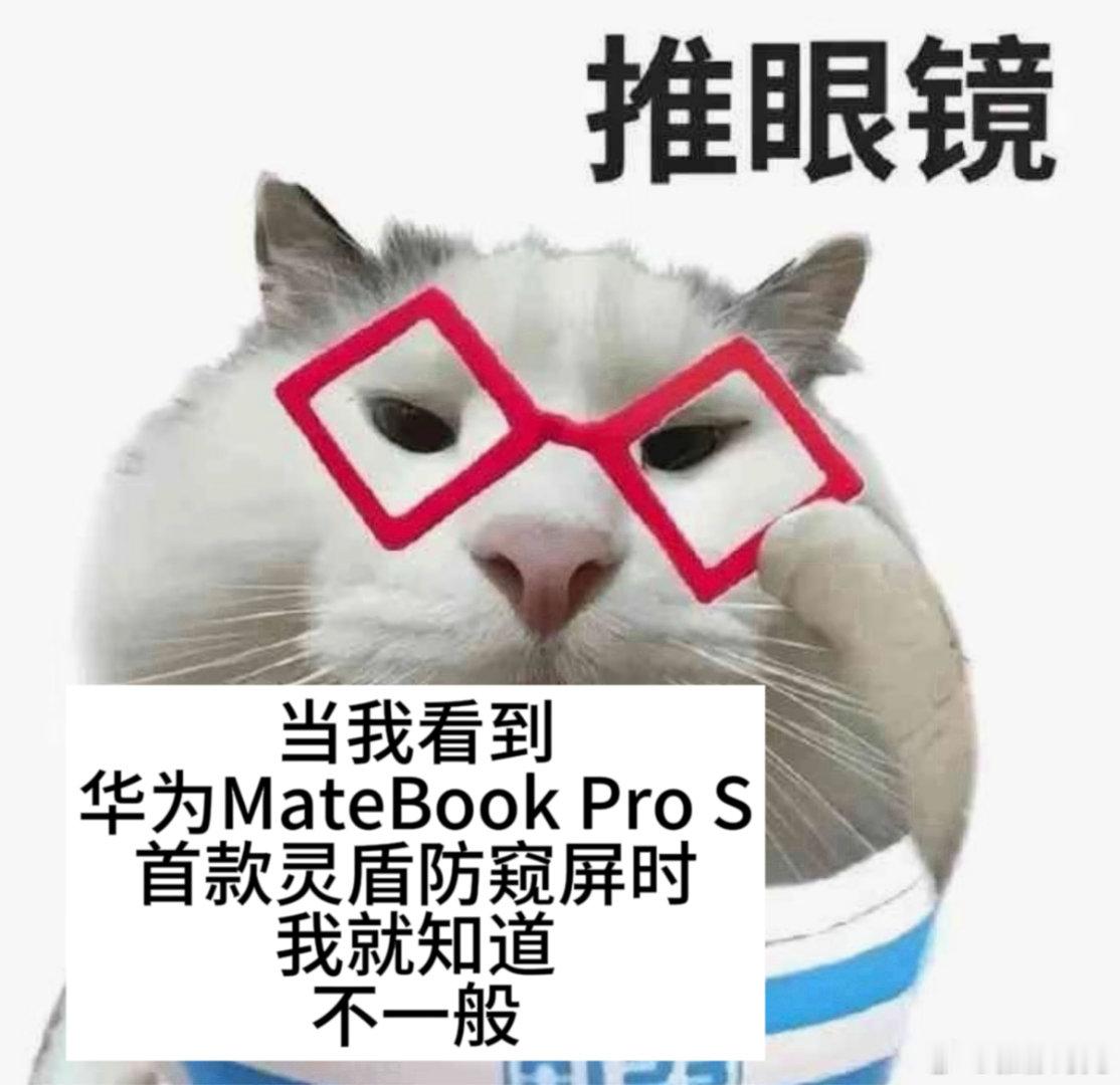华为发布全球首款防窥屏笔记本 新款轻薄本直接刷新行业天花板，柔性OLED灵盾防窥