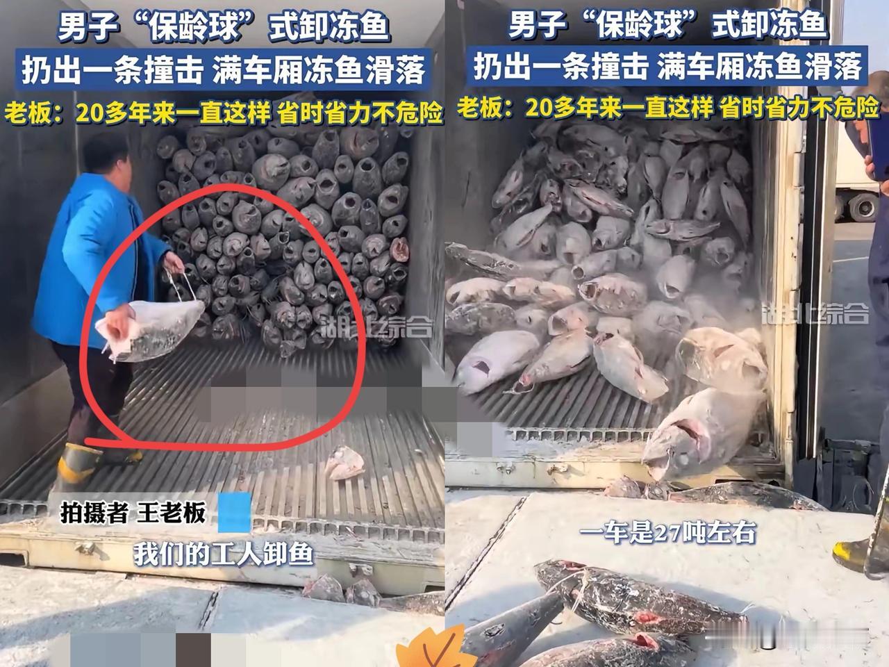 这就是劳动人民的智慧！山东烟台，一位卸鱼工人火了，车上装着27吨冻鱼，别人埋头搬