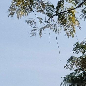 每日一善[超话] 🍃阳光信用 每日一善 🍃善不可不弘，恶不可不去。善心人人有