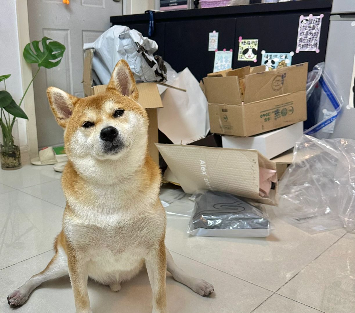 这日子爱谁过谁过吧