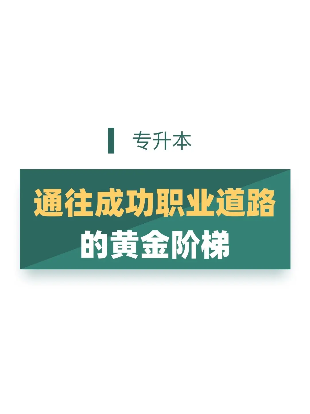 专升本 专科 上岸吧