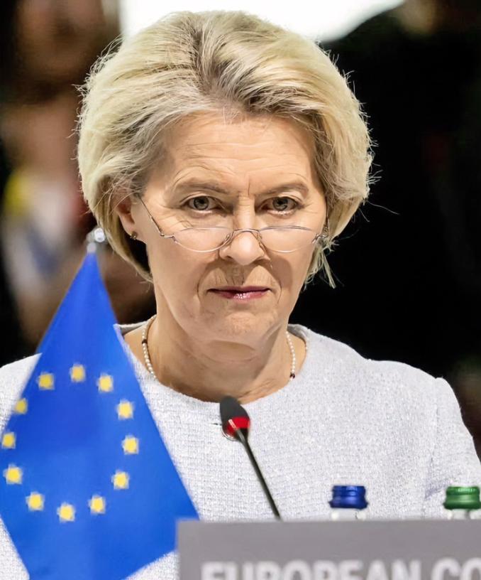 一针见血啊！奥地利前外长克奈斯尔认为在欧盟主席冯德莱恩等人的带领之下，欧盟正在逐
