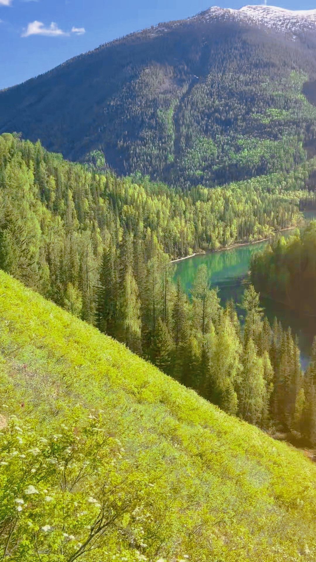 的需要感情支持生活 有的需要意志支持生活  有的人处处依靠他人 有的人...