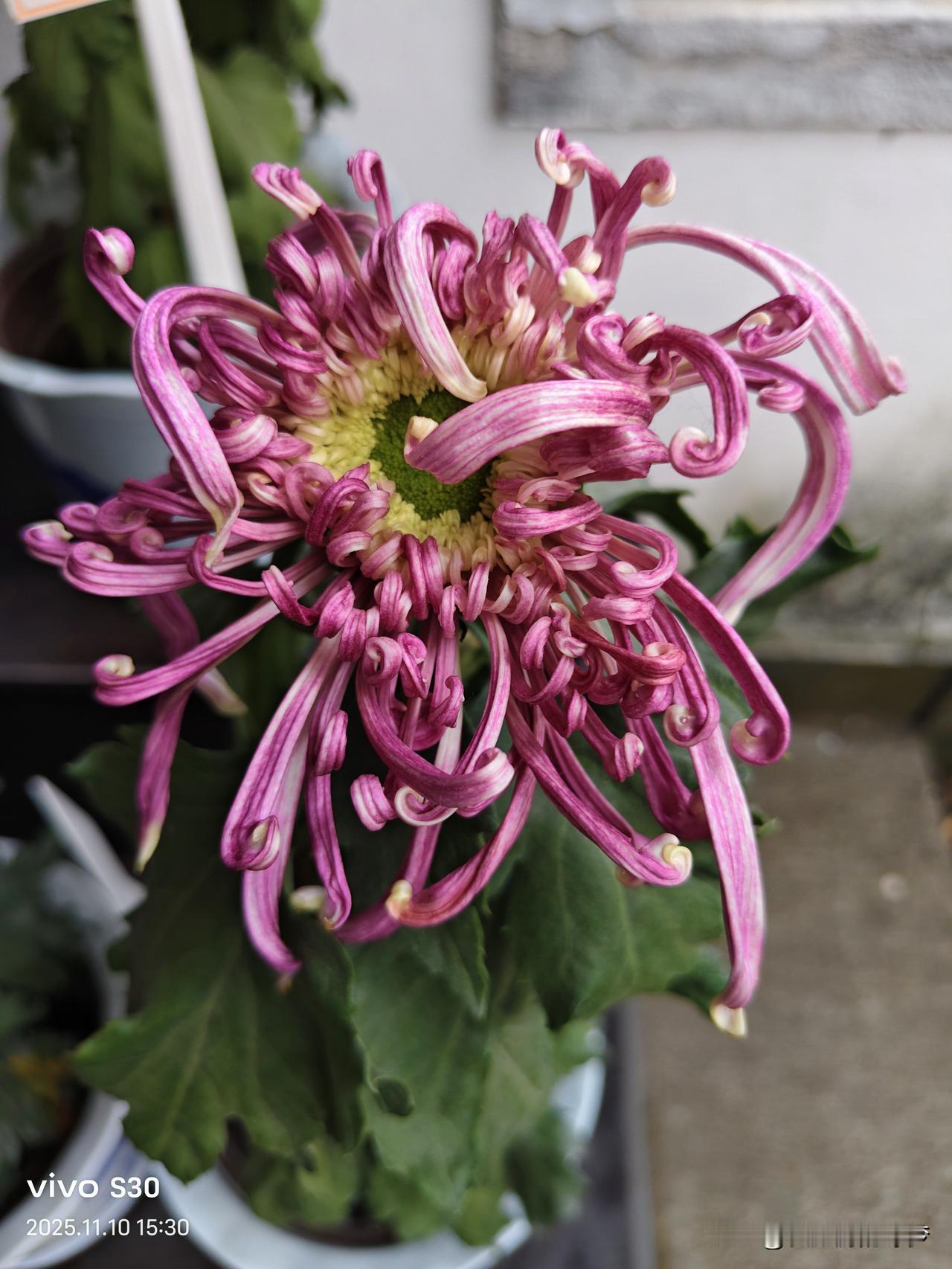 在异乡突然想家的瞬间