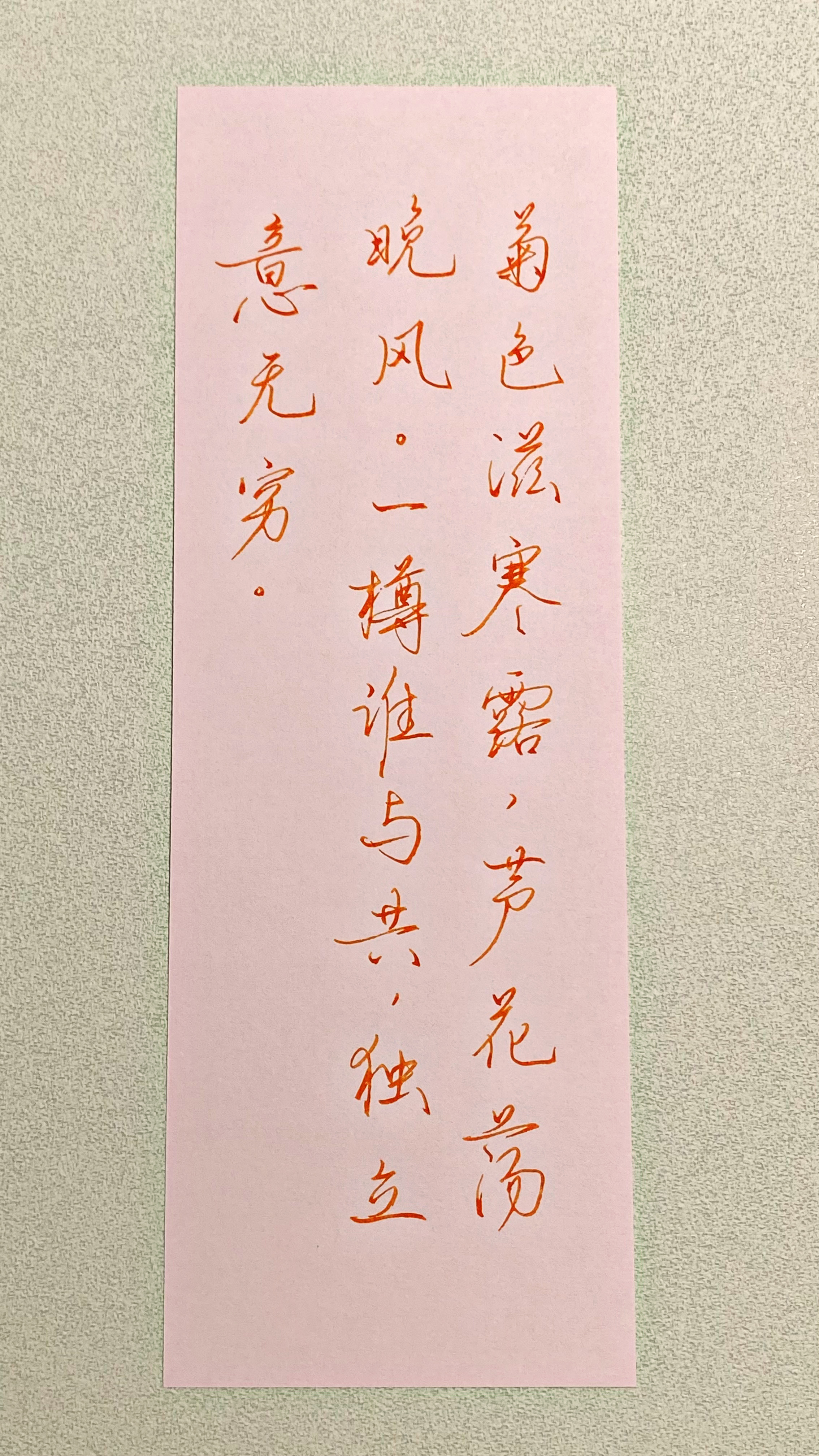 今日作业（2026.10.8）菊色滋寒露，芦花荡晚风。一樽谁与共，独立意无穷。—