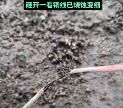 "涨知识了！"

近日，广东一男子发现家中同一块地砖，温度却相差极大。靠近浴室门