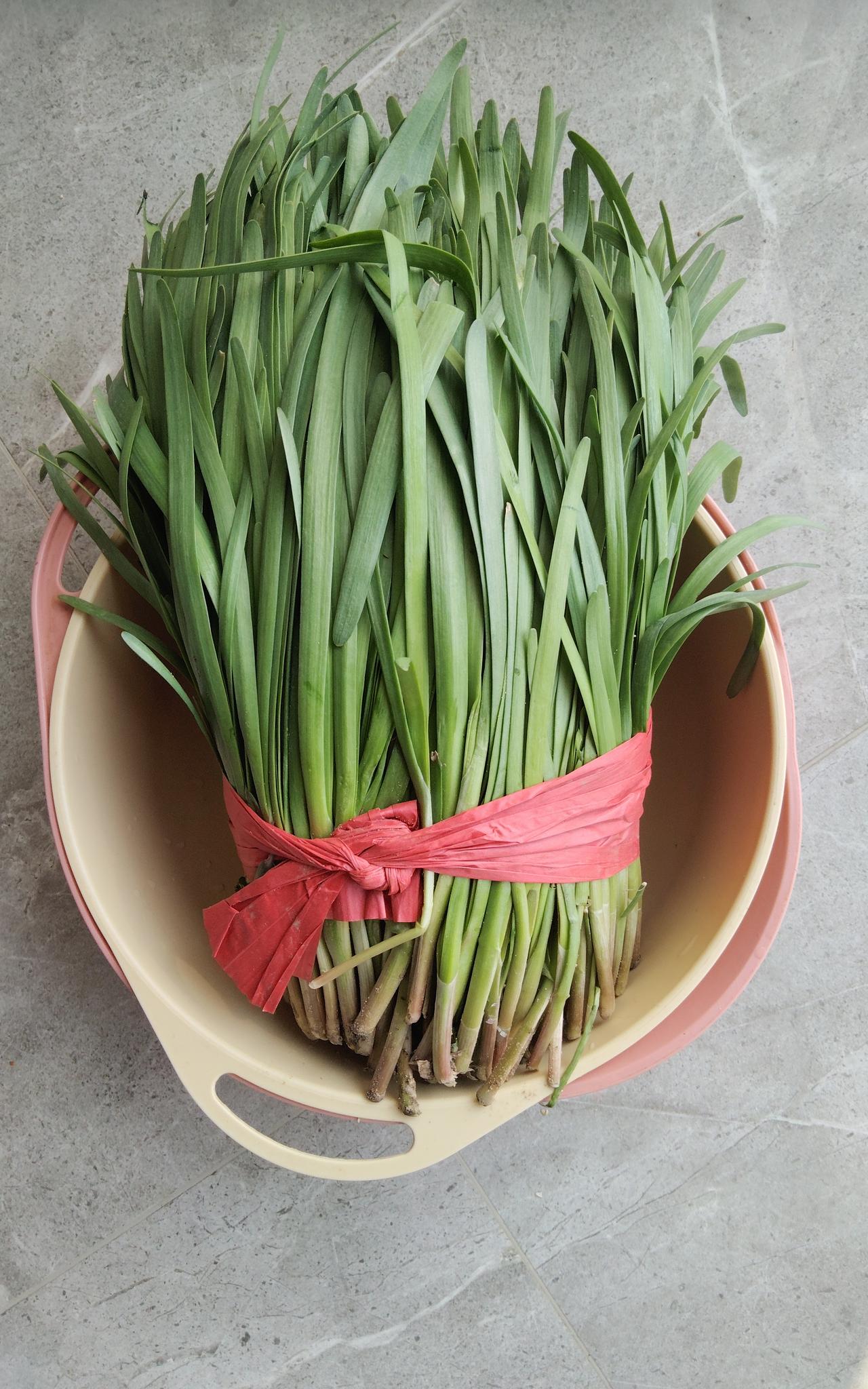 大紫根韮菜10多元一斤与平常韮菜有什么不同吗？
今天在康定路农贸市场菜价虽然明都